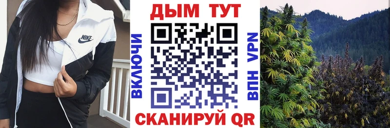 Бошки Шишки White Widow  Шумиха 